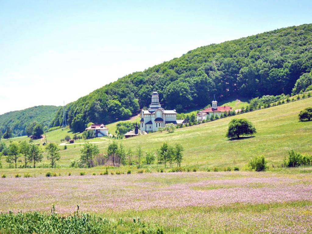 Gasthaus Casa Bradet Întorsura Buzăului Exterior foto