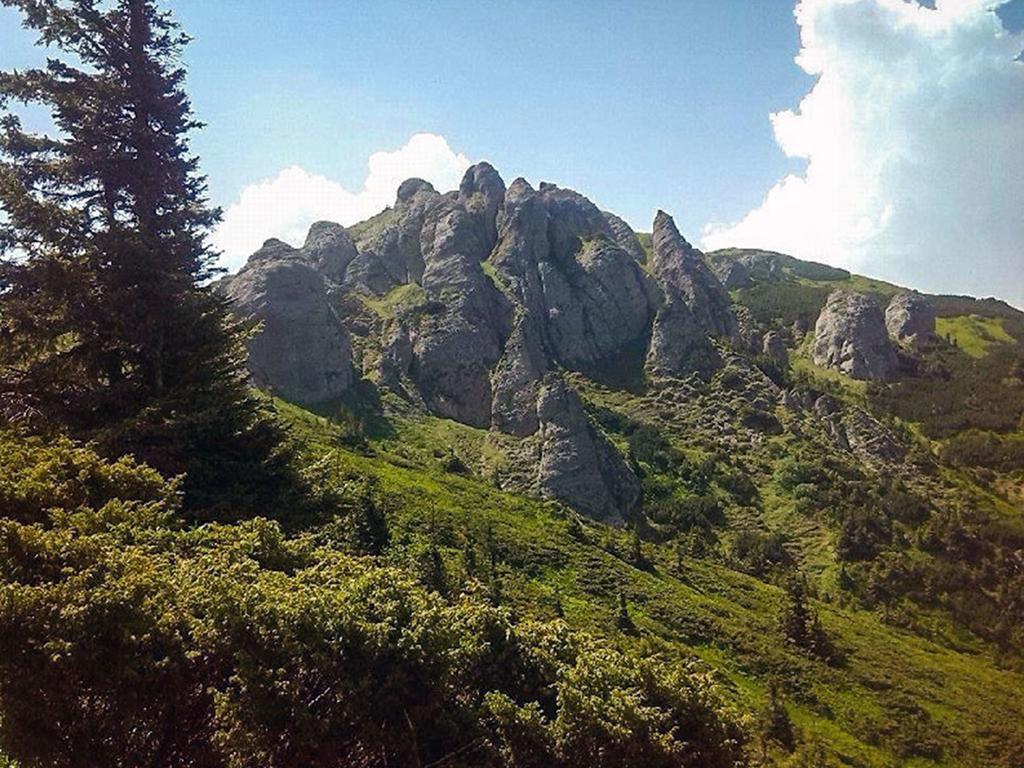 Gasthaus Casa Bradet Întorsura Buzăului Exterior foto
